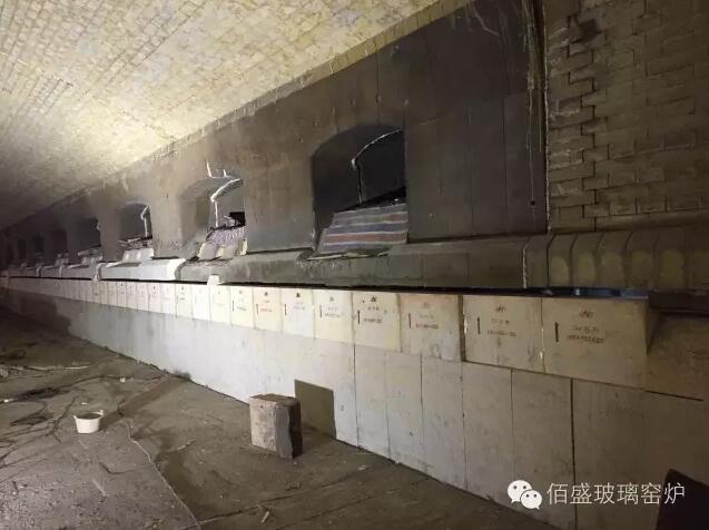 成人抖音免费下载